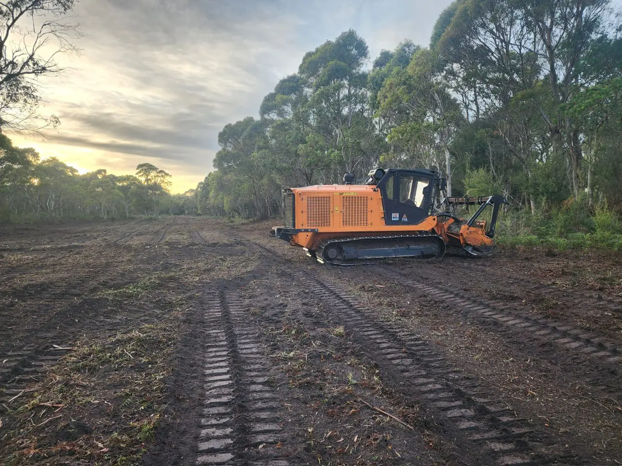 Bushfire Mitigation