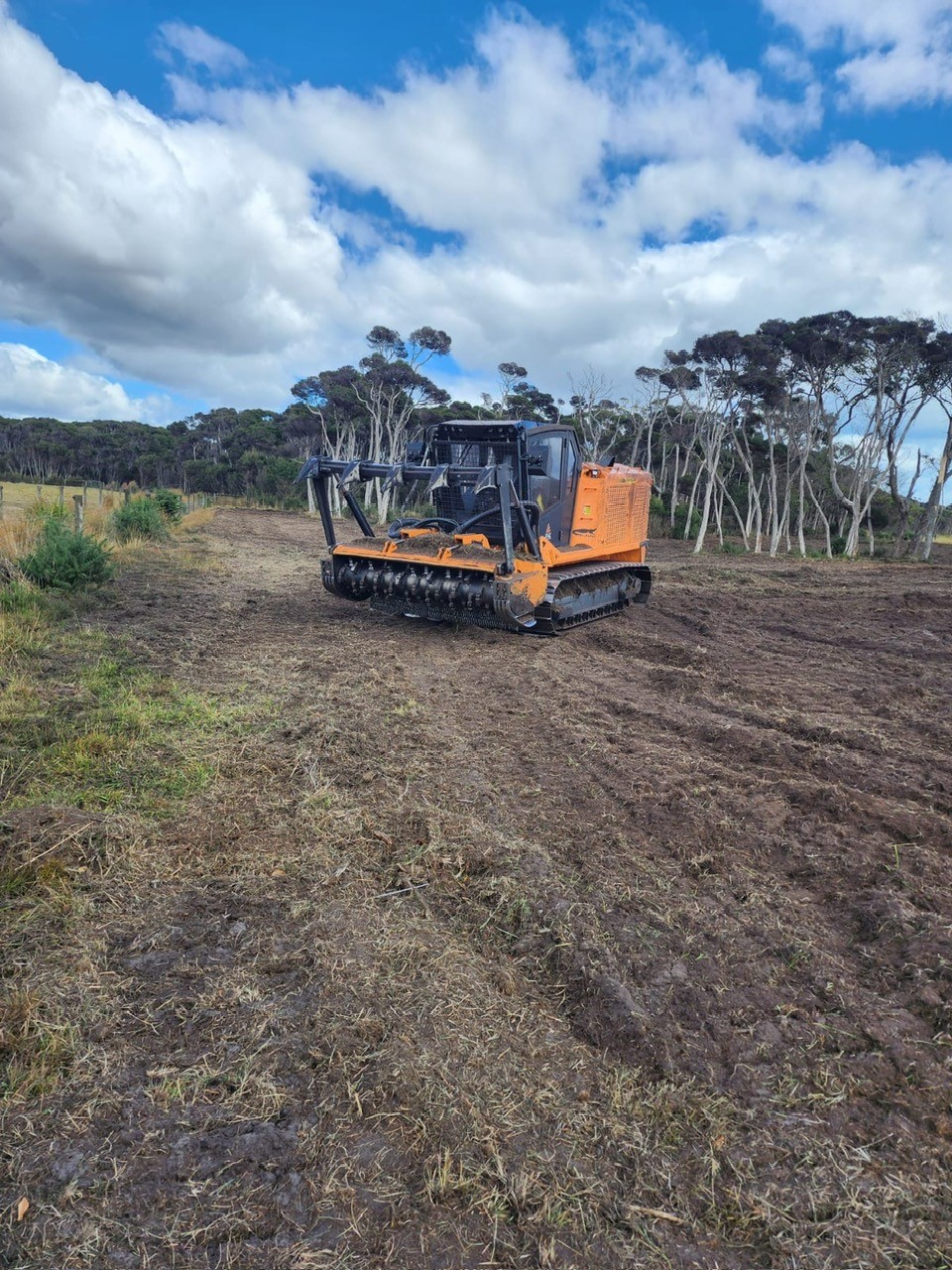 Tracked mulcher clearing dense bushland